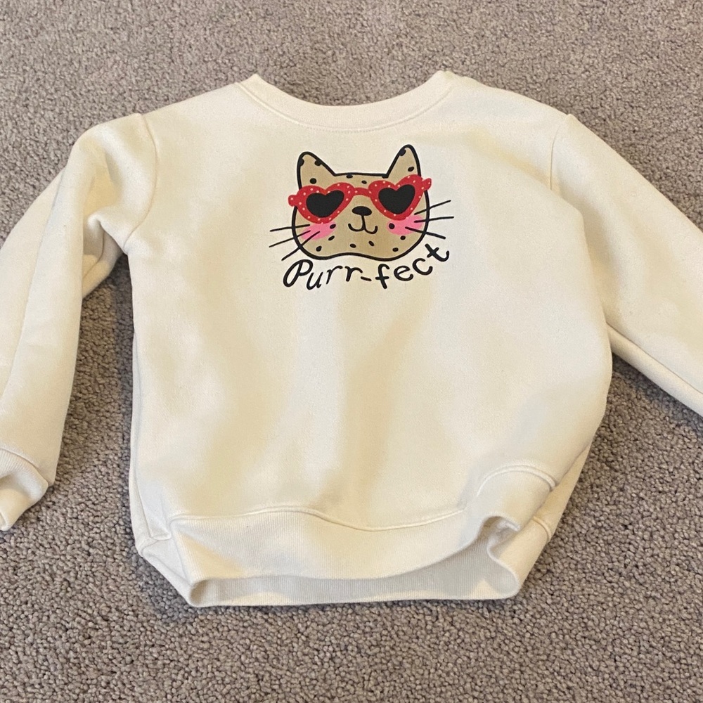 Cute Cat Sweatshirt with Heart Glasses